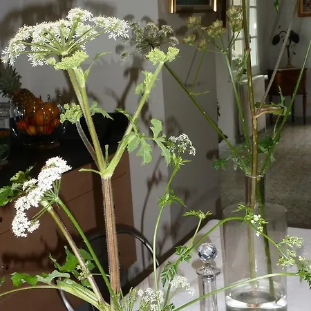 Couette-café Le Petit Matin