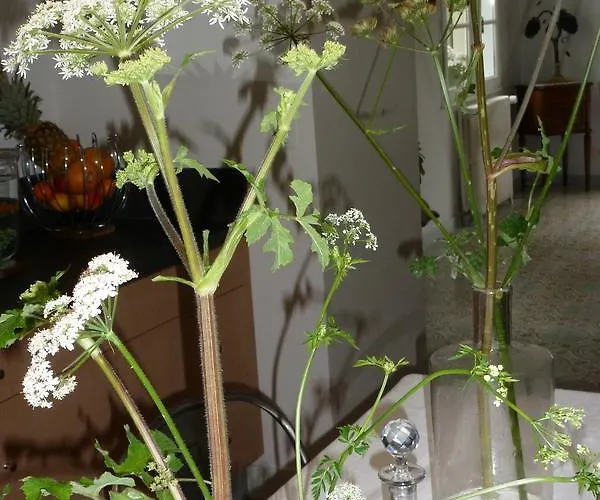 Bed & Breakfast Le Petit Matin